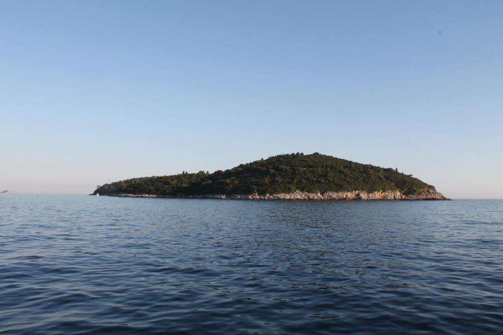 Tina Apartments Dubrovnik Ruang foto